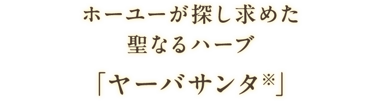 ホーユーが探し求めた聖なるハーブ「ヤーバサンタ※」