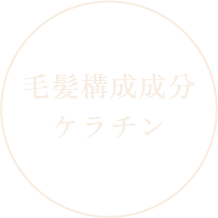 毛髪構成成分ケラチン※4