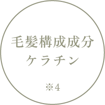 毛髪構成成分ケラチン※4