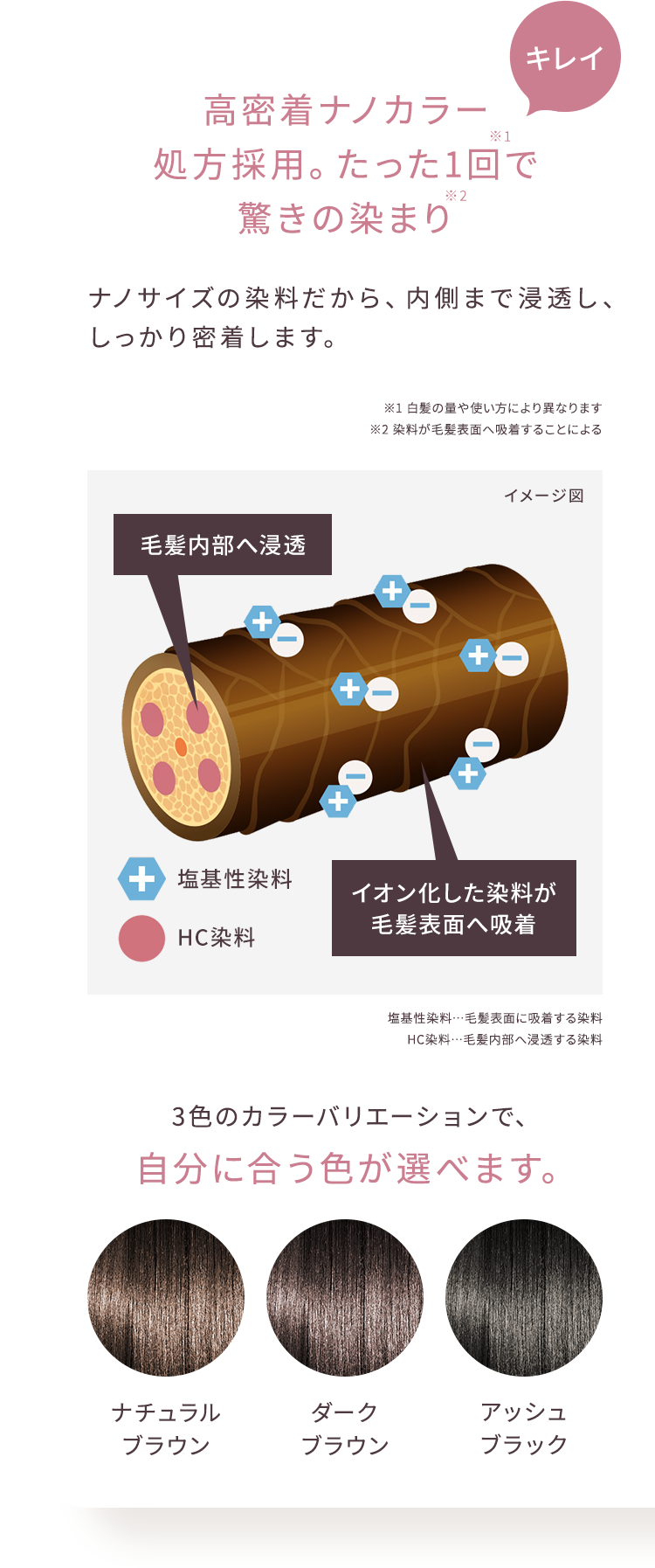 キレイ 高密着ナノカラー処方採用。 たった1回で驚きの染まり ナノサイズの染料だから、内側まで浸透し、しっかり密着します。 ※1 白髪の量や使い方により異なります ※2 染料が毛髪表面へ吸着することによる イメージ図 毛髪内部へ浸透 塩基性染料 HC染料 イオン化した染料が毛髪表面へ吸着 塩基性染料＝毛髪表面に吸着する染料 HC染料＝毛髪内部へ浸透する染料