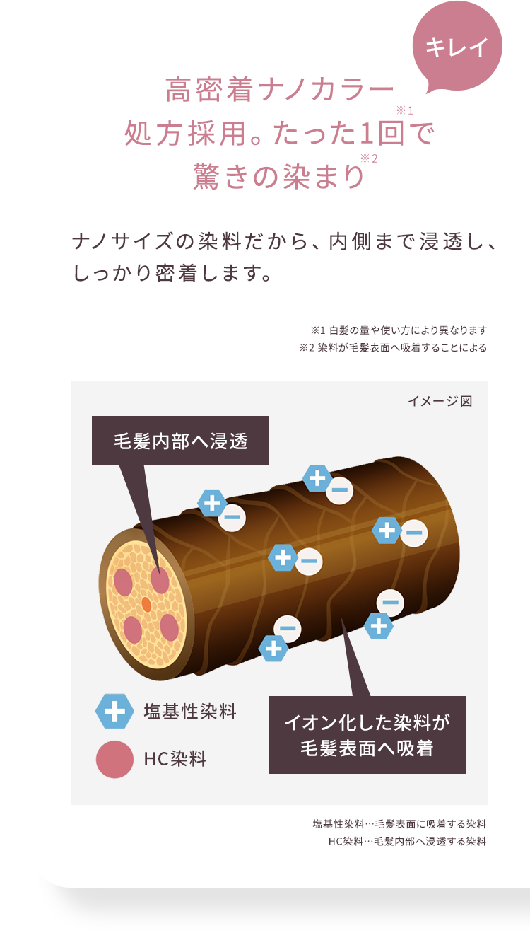 キレイ 高密着ナノカラー処方採用。 たった1回で驚きの染まり ナノサイズの染料だから、内側まで浸透し、しっかり密着します。 ※1 白髪の量や使い方により異なります ※2 染料が毛髪表面へ吸着することによる イメージ図 毛髪内部へ浸透 塩基性染料 HC染料 イオン化した染料が毛髪表面へ吸着 塩基性染料＝毛髪表面に吸着する染料 HC染料＝毛髪内部へ浸透する染料